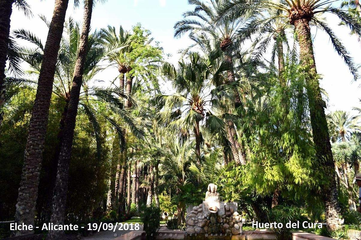 19 ELCHE HUERTO DEL CURA (13).JPG